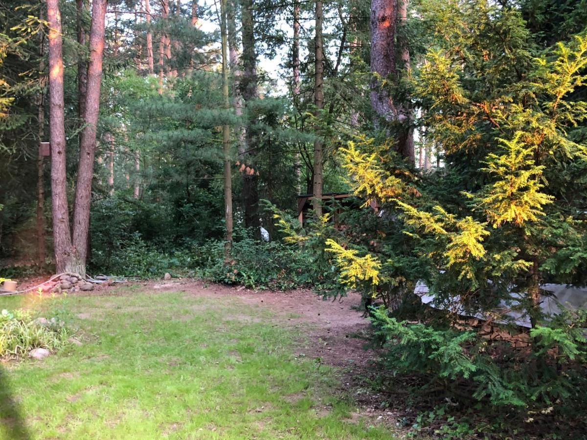 Ferienhaus Reetdach 1300Qm Privatgrundstueck Bootssteg Sauna Templin Luebbesee Uckermark Erholung Pur Seenplatte Petersdorf  Eksteriør bilde